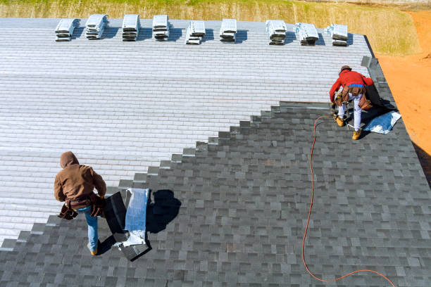 Best Metal Roofing Contractor  in Wyoming, IL
