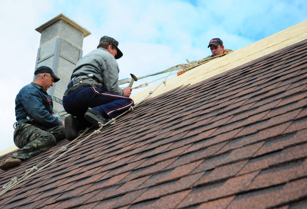 Best Roof Leak Repair  in Wyoming, IL